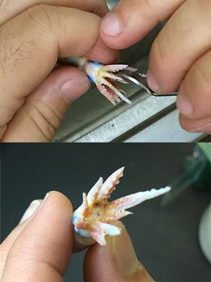 Removing support material at the CADD Edge 3D printing facility in Connecticut