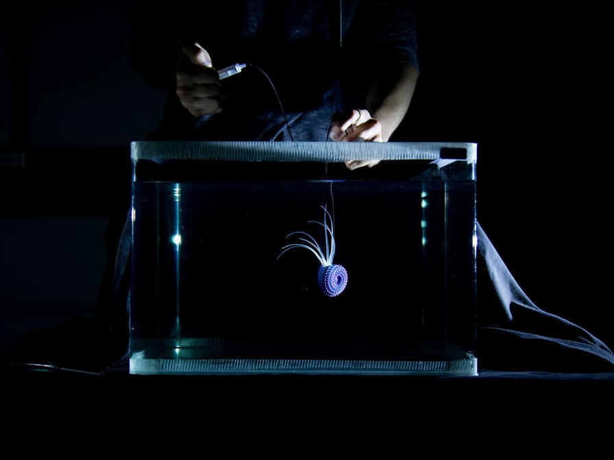 Filming the 3D printed aquatic sea creature. The students attached the creatures to string to simulate underwater behavior.