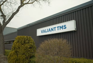 Valiant site image