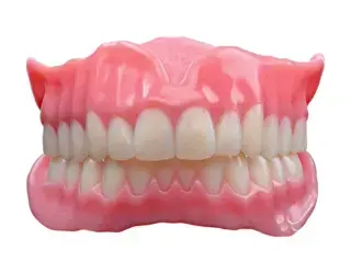 dentures-model