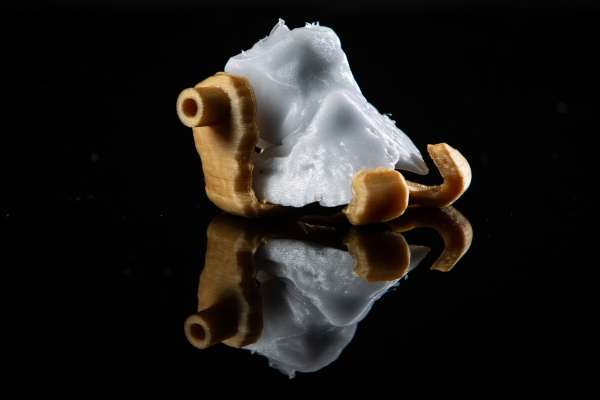 3D Printing VetMed Studio MCM 3239 600x400