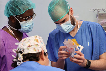 Medical team examining 3d printed medical model