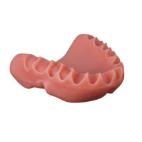 FotoDent® denture 385nm by Dreve