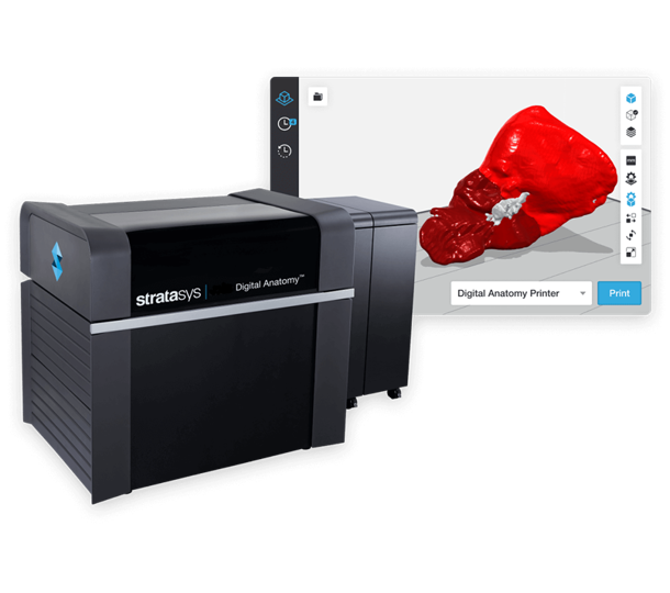 grabcad-digital-anatomy-3d-printing-software