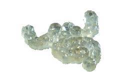 dental-models-with-support