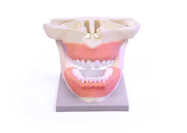 dental education image