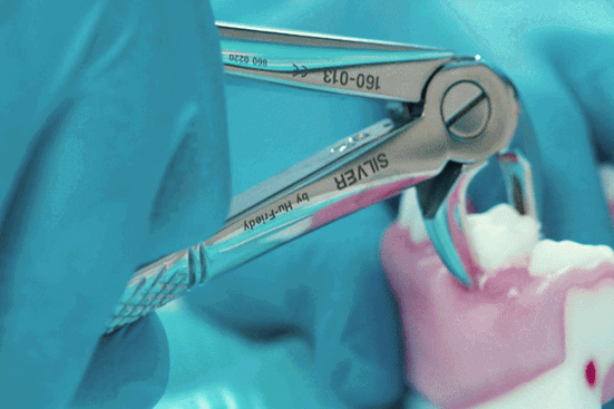 College_Dental_Simulation_