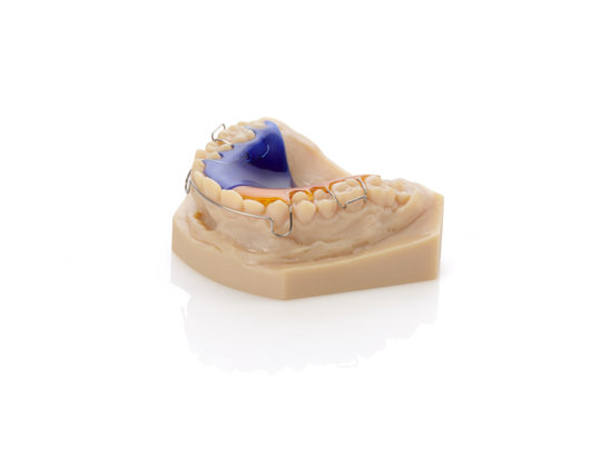 Orthodontic model