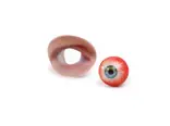 3d printed eyeball and eye socket