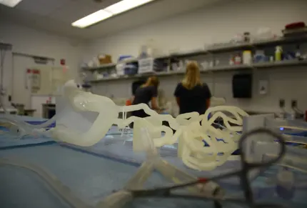 3d-printed-blood-vessels-models