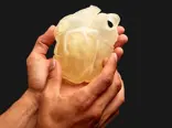 3d-printed-heart-made-with-gelmatrix