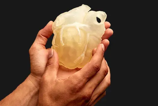 3d-printed-heart-made-with-gelmatrix