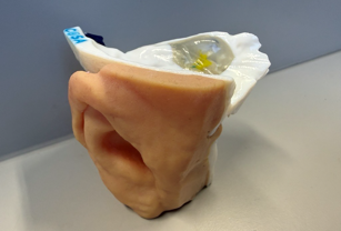 Stratasys 3D printed ear and eye medical model