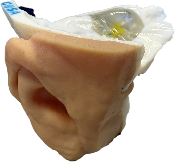 Stratasys 3D 프린팅으로 제작된 수술 훈련용 안구