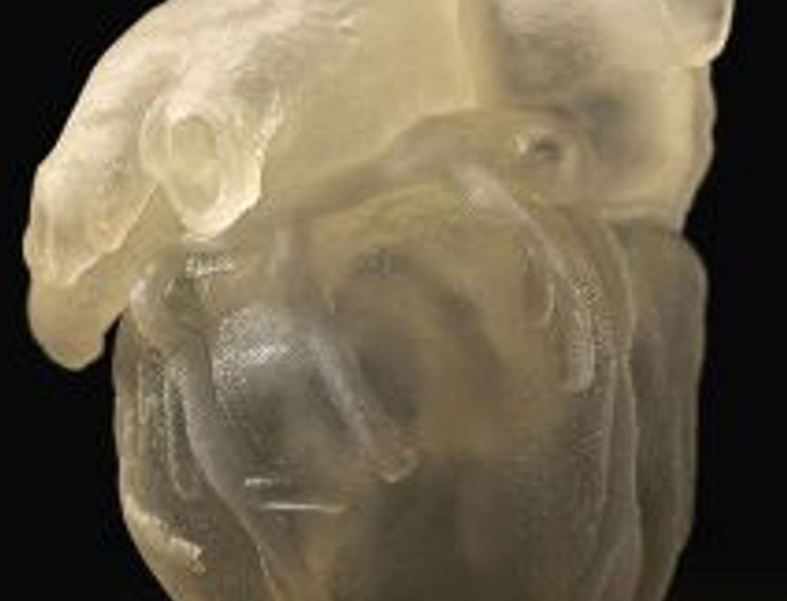 Perfecting surgical skills with Tissue Matrix